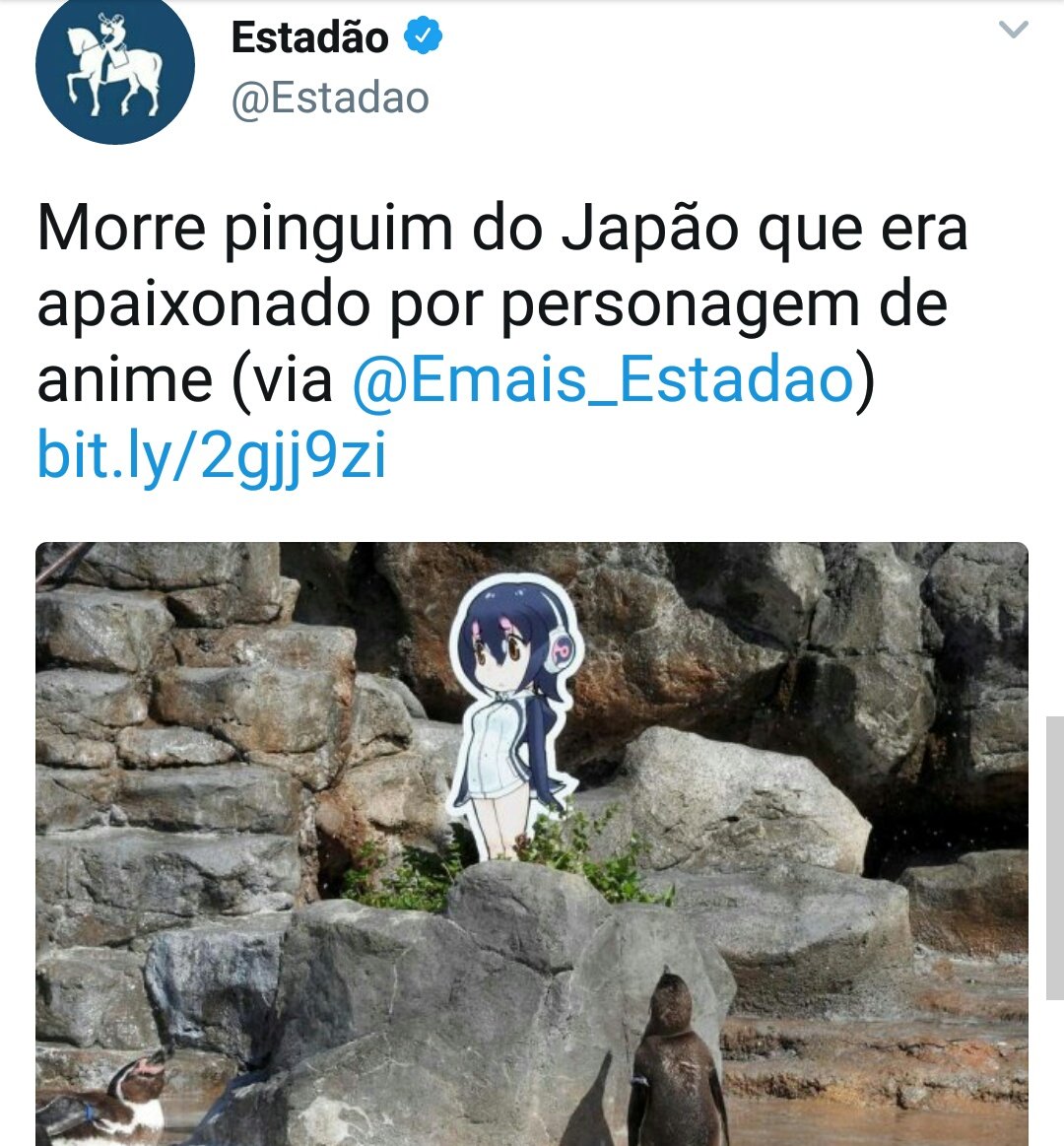 tadificilparsa's tweet photo. "Meu coração não se abala com pouco, chorar é pros fracos!!"

*3min depois* https://t.co/F7yDtgJGdA