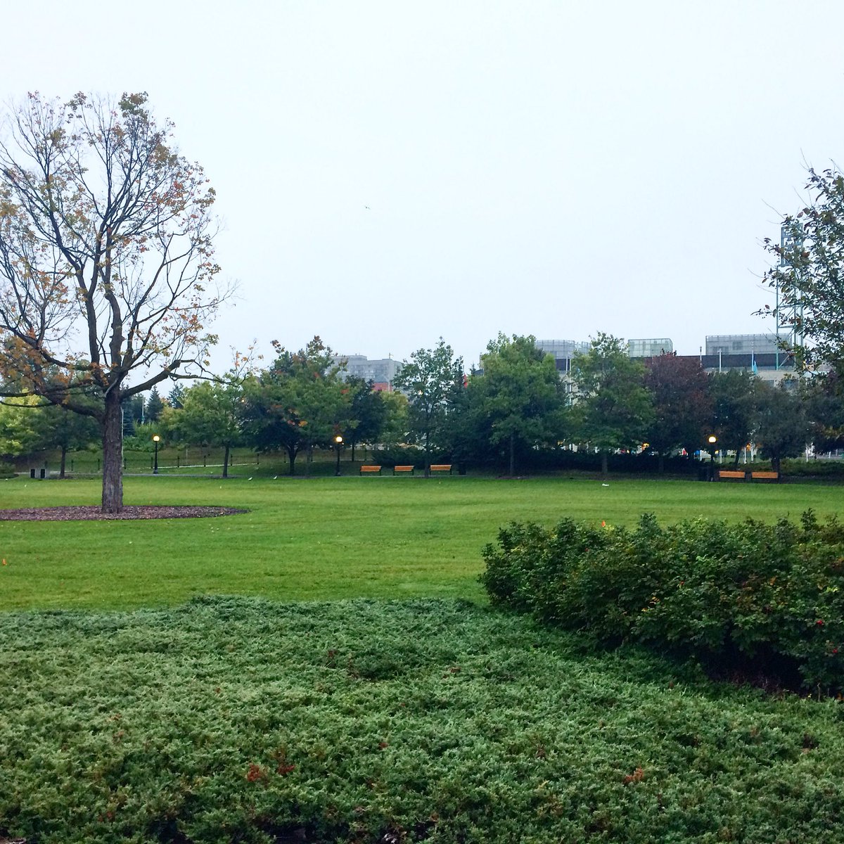 Fall Sundays are for sitting back and taking in the shades of green 🍂🍁🍃 #NordstromOTT #sundays