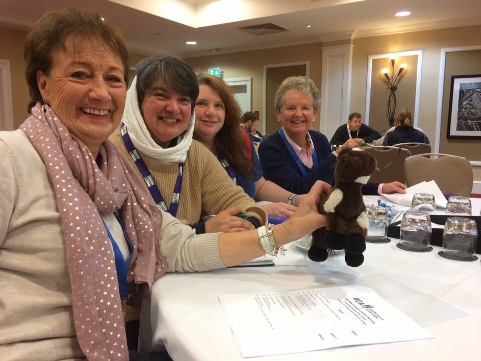 North_Mids_RDA's tweet photo. Great to see our #Mascot @RDANomad meet @RDAIreland crew at @RDAnational Coaching Conference in Solihull! 🐴🇮🇪🎓💬
#TeamRDA #Coaching https://t.co/LiwIE3vP8t
