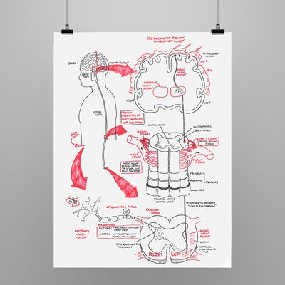 miriamriig's tweet photo. ¡He encontrado un canal de YouTube con dibujos súperchulos para aprender biología y medicina! 👉Armando Hasudungan https://t.co/sgvAmtavwi https://t.co/XwyApvP2Iw