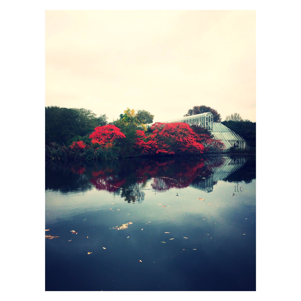 LAST DAY of <a href="/handmadebritain/">Handmade in Britain</a> at <a href="/kewgardens/">KewGardens</a> We're open until 6pm today. Come and find me on stand F7 #Handmadeatkew