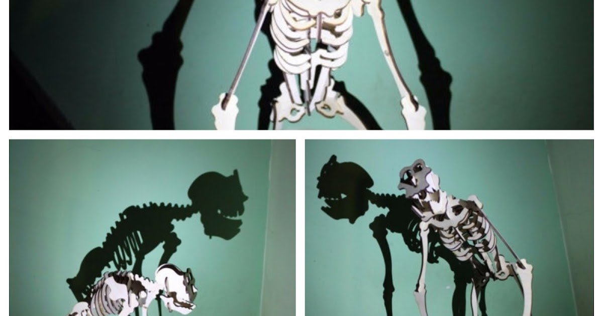 lasercutstuff's tweet image. Prime ape skeleton dlvr.it/PvgtH3