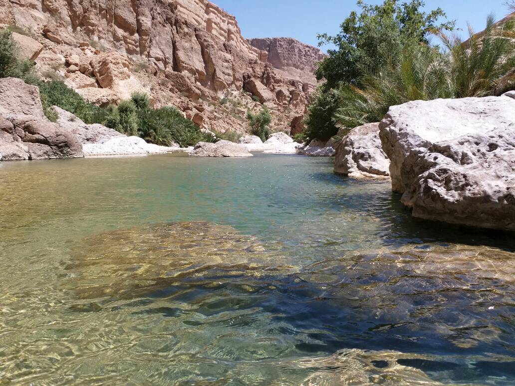 abusaeed134's tweet photo. مساء الخيرات https://t.co/Gq5CdH3HSE