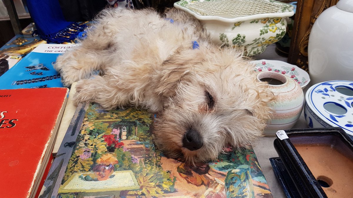 gracieldnfields's tweet photo. In Columbia Road Market. Resting. Busy day. https://t.co/TBcCixqTS8