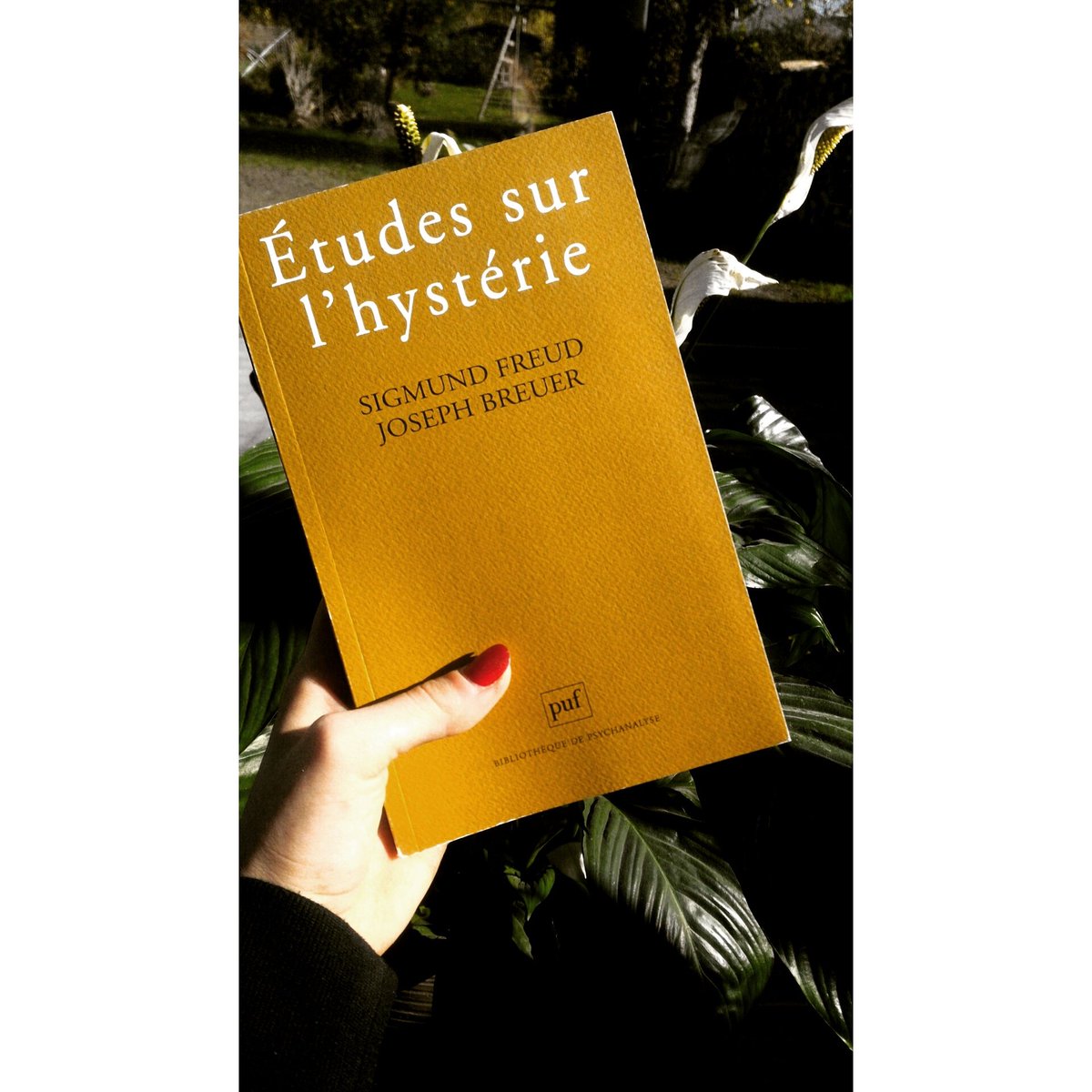 Key_belling's tweet photo. Le petit dernier vient d'arriver à la maison... 👶😊🍀 #Freud #Book #Welfare https://t.co/GKKAmvADUo