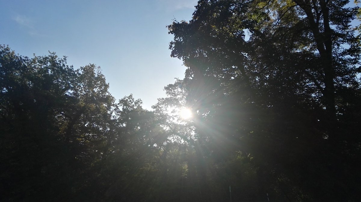 Heute hätte man die
"Nebel von Avalon" drehen können!