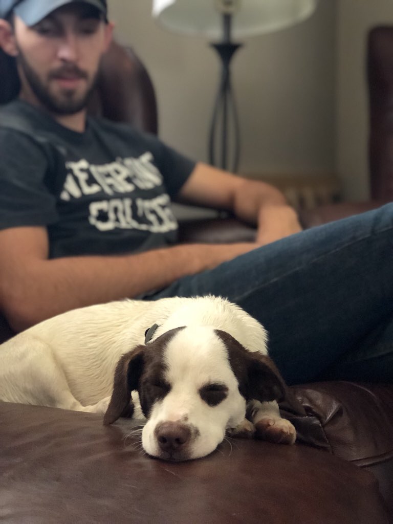 amy_bagwell's tweet photo. @GinaTripp @ginatripps wait until you see the puppy that wondered into Robert’s yard. It’s like baby Hank all over again. https://t.co/syN9wE5WlM