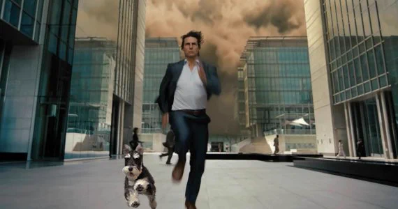 素晴らしい躍動感！実家の犬を色んな映画の人たちと走らせてみたｗｗｗ