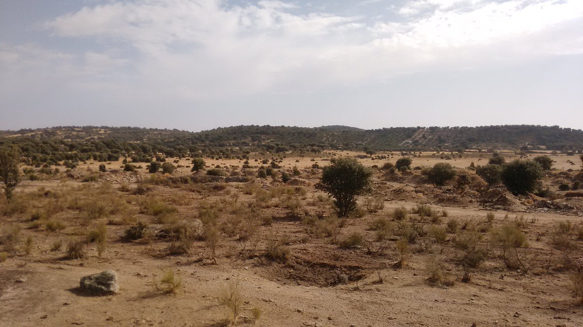 Un domingo más en la general, mucho calor pero a campo las penas se llevan mejor. Buena caza compañer@s. #SialaCaza #General2017