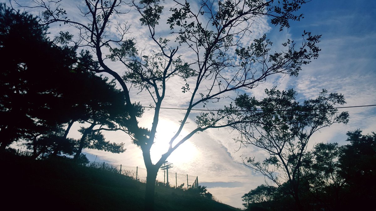 hozier_korea's tweet photo. Beautiful #sunset and #sunheart 💜💙 that I met during the park walk. https://t.co/5woHnibaVh
