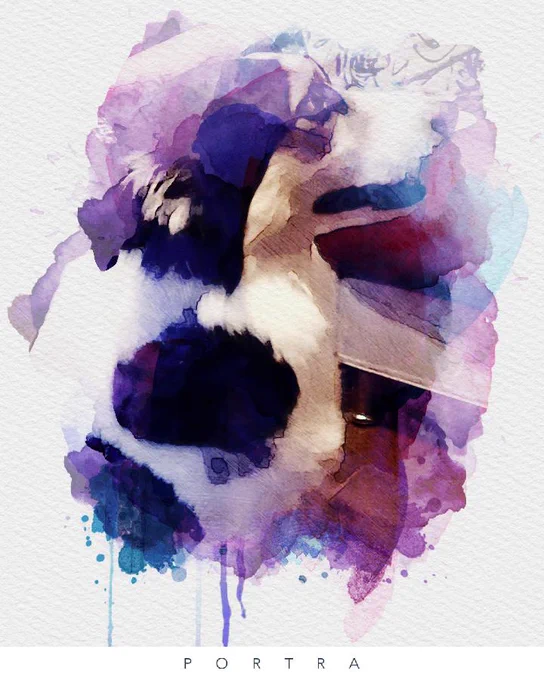∠( ᐛ 」∠)_