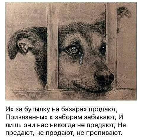 izbrannoye's tweet photo. https://t.co/gL3ZotMo7X