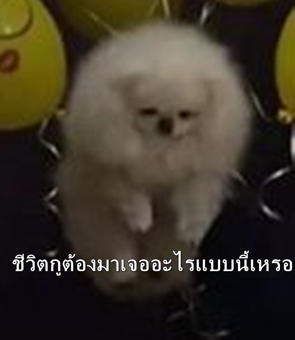 reno____o's tweet photo. อย่าให้กูหลุดไปได้นะมึง https://t.co/6hsGuaO7mX