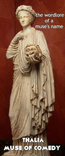 BillCasselman's tweet photo. Thallophyte, Thalia & antithalian: rare words, common origin https://t.co/Ff0f6dV1fO #barrypopik #vallensis #atticist #ancient_greece #esl https://t.co/75VCyEqvYf