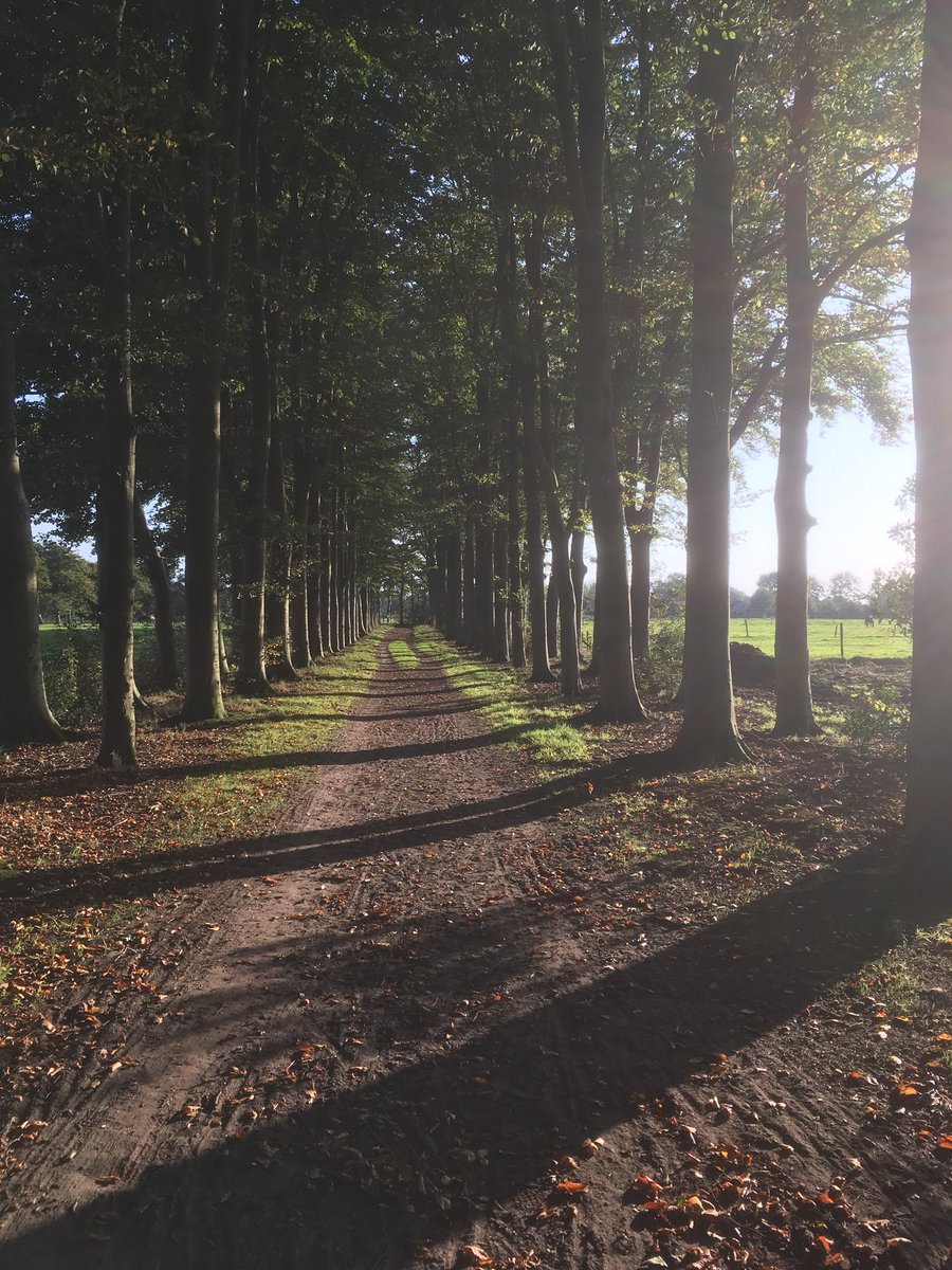 BusinessClubNV's tweet photo. Genieten van zonovergoten herfstdag op landgoed #Morren in #Oosterwolde https://t.co/PuCh2DUgbI