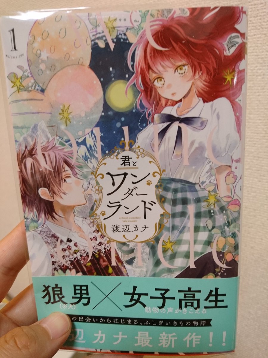 最近読んだマンガで可愛くて面白かったNo1です。
君とワンダーランド 