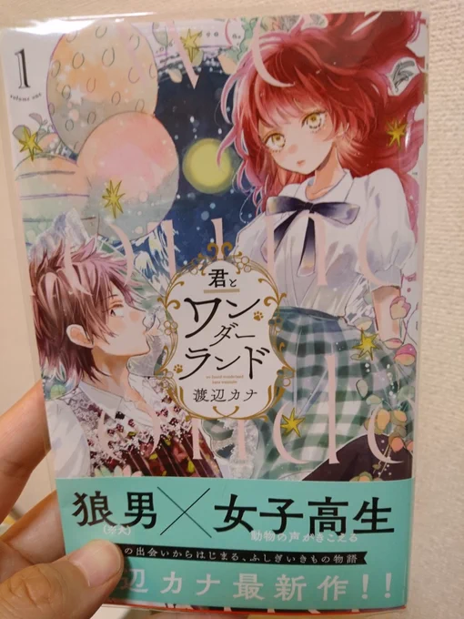 最近読んだマンガで可愛くて面白かったNo1です。
君とワンダーランド 