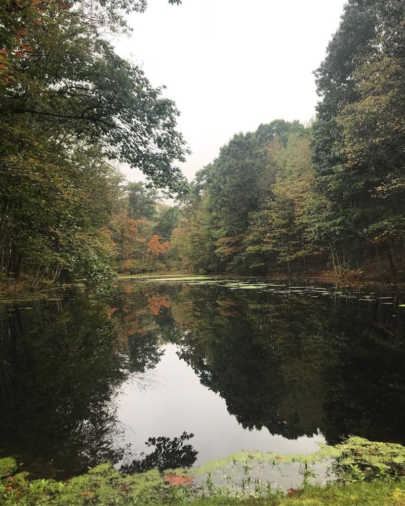 Good morning from @tamerlainefarm ! 🐔🐷🦆🐐🦃💗 ift.tt/2ype5zv