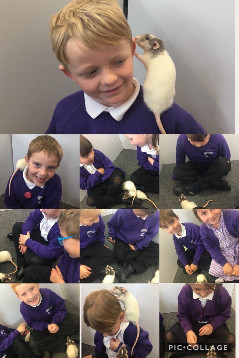 We’ve loved having Whitney and Britney out this week!🐀🐀😍❤️