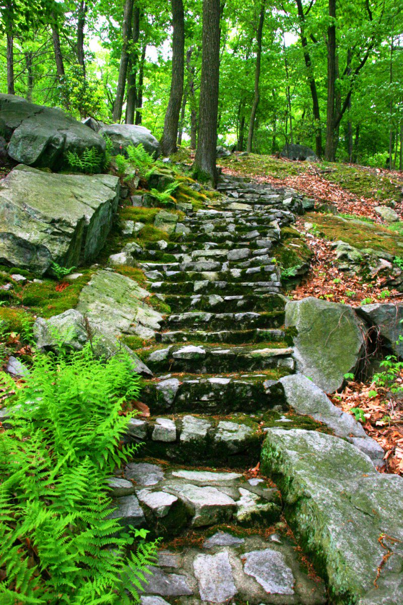 janjohnsen23's tweet photo. I am leading the tour of #Manitoga today for @TCLFdotORG . Awesome day for awesome event! @GardenDesignMag @LindaSLarson2 @Cultivate_place https://t.co/Zg8L7IyA31