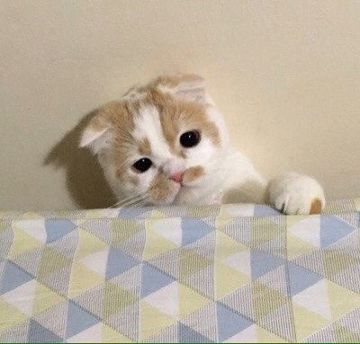 nerodaegal's tweet photo. @lkitchensinkl
С Днем рождения, солнышко! 🎉
Желаю тебе всего, что сама хочешь!💫 Никогда не сдавайся, ничего не бойся!🌝 С твоим днём!🌸 https://t.co/EEtG9dhmaD
