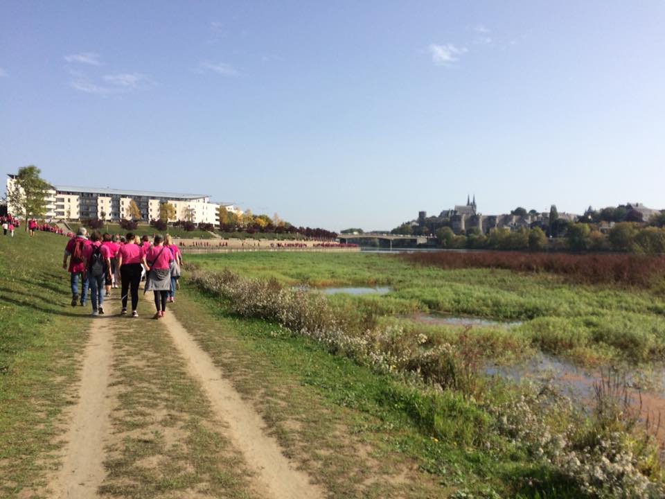 RoineAngelina's tweet photo. Participation à #OctobreRose ce matin à #Angers !💓 https://t.co/VF7LHKehQm