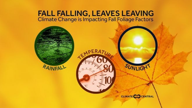 ClimateCentral's tweet photo. Climate change is altering important elements affecting fall foliage https://t.co/8gUBF3suS8 https://t.co/emfWZY8Dit