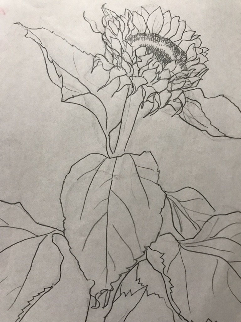 SayocoU's tweet photo. Sunflower field #croquis #sketch #sunflower #artwork #artoftheday #art  "Please tell me whatever" https://t.co/ptcTaIbBBw
