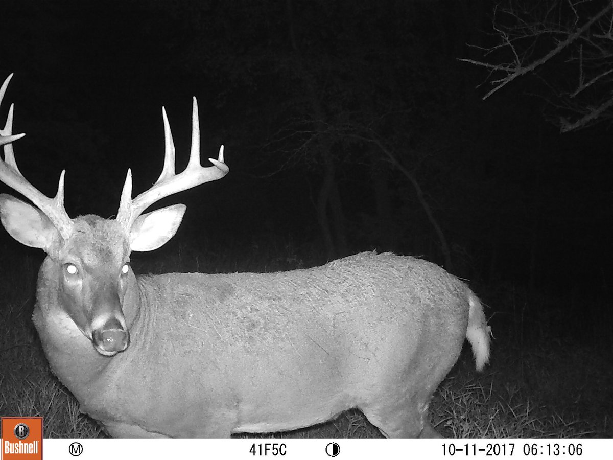 George Parris tweet media