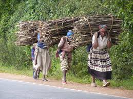 cibirajpon's tweet photo. Dey dont talk #feminism but most f them r d #bread_winners f d family.Dey dont complain but never stoped working fr d betterment #RuralWomen https://t.co/F3pU5yWdLs