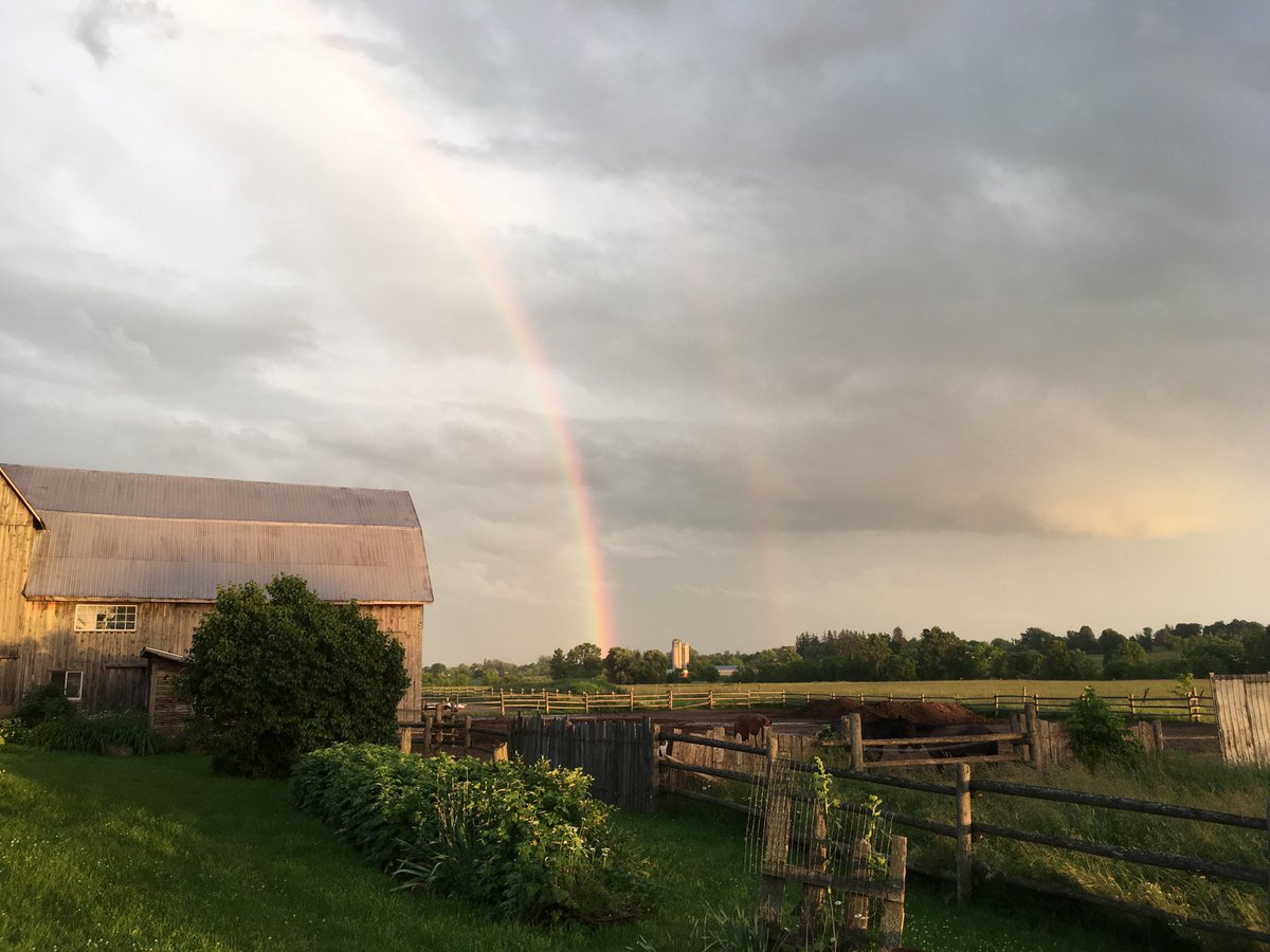 WhiteForestFarm's tweet photo. Always the most stellar rainbows at the farm.
#whiteforestfarm #rainbows https://t.co/wj28b1l4kn