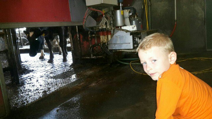 RvdBrom's tweet image. Samen met papa meekijken bij een #melkrobot. Interessant en leerzaam!