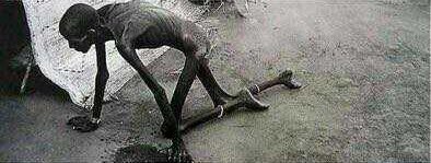 aeternus_varius's tweet photo. new banner what u think https://t.co/ajXzHchL8S