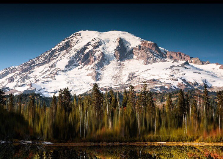 Miscelánea🍀 tweet media