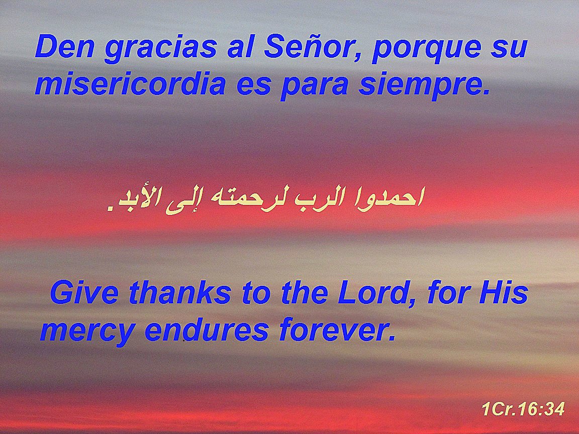 AlexSavch58's tweet photo. Give thanks to the Lord: https://t.co/og9IqNqCS0