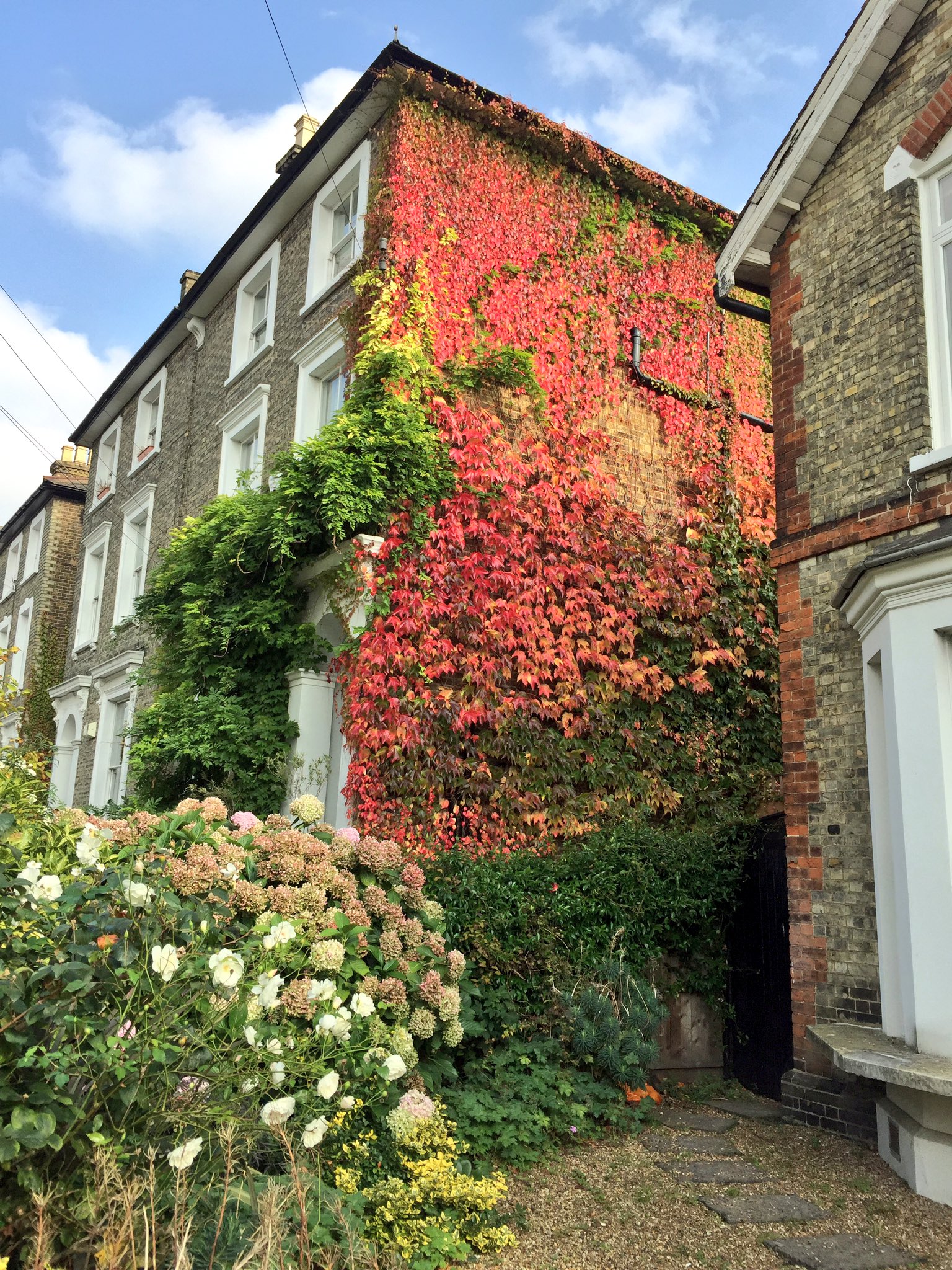 𝖸𝗈 𝖮𝗄𝖺𝖽𝖺 紅葉がすすむ蔦の絡まるレンガ壁 イギリスの秋 度もある暖かい日曜日 ロンドン散歩 T Co Gxrtauljzz Twitter