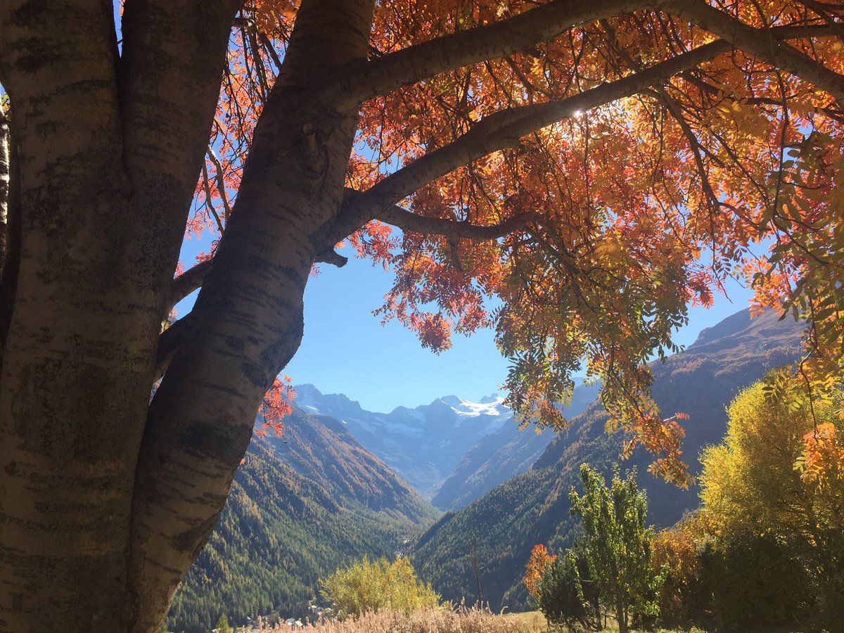 AostaGuida's tweet photo. Lo spettacolo della #natura a #Cogne #ValledAosta e per voi le nostre #visite #guidate #travelblogger #turismo #Alpi https://t.co/FeGLSfn0Q8 https://t.co/oRt0G6hfsP