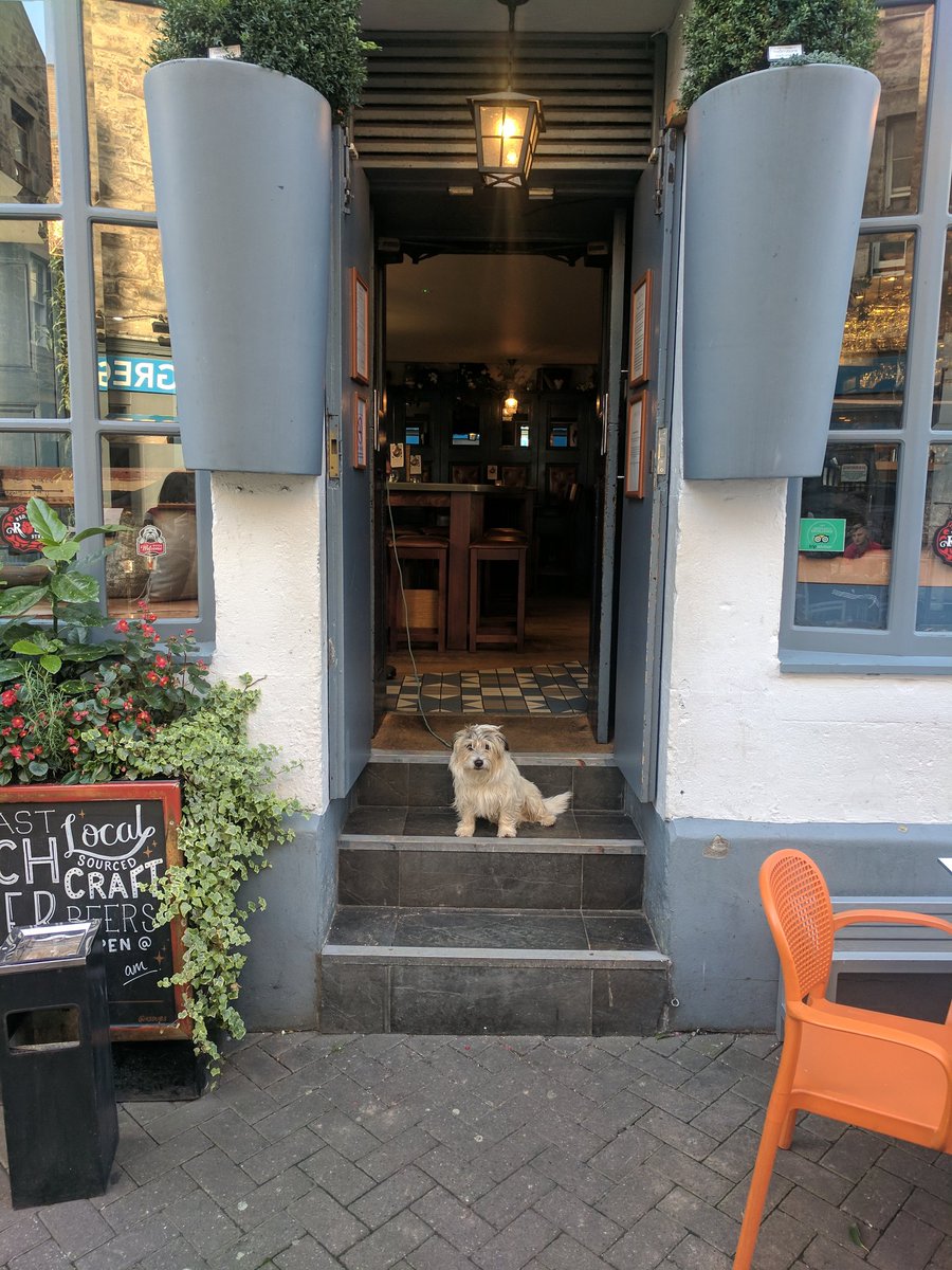 Element_Ed's tweet photo. We got a new bouncer 🤣🤣🐕... #edinburgh #dugsnpubs @dugsNpubs https://t.co/DWxaUnCxgG