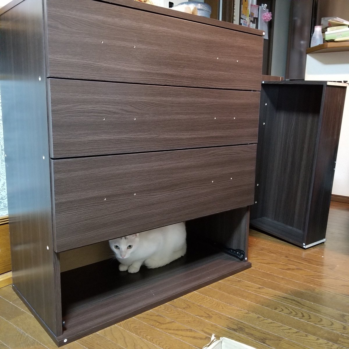 kugiooon's tweet photo. 久々帰ってきたらチェスト作らされてあーたてなったけどマリン可愛いから癒された(笑) https://t.co/F1xT31RQJl