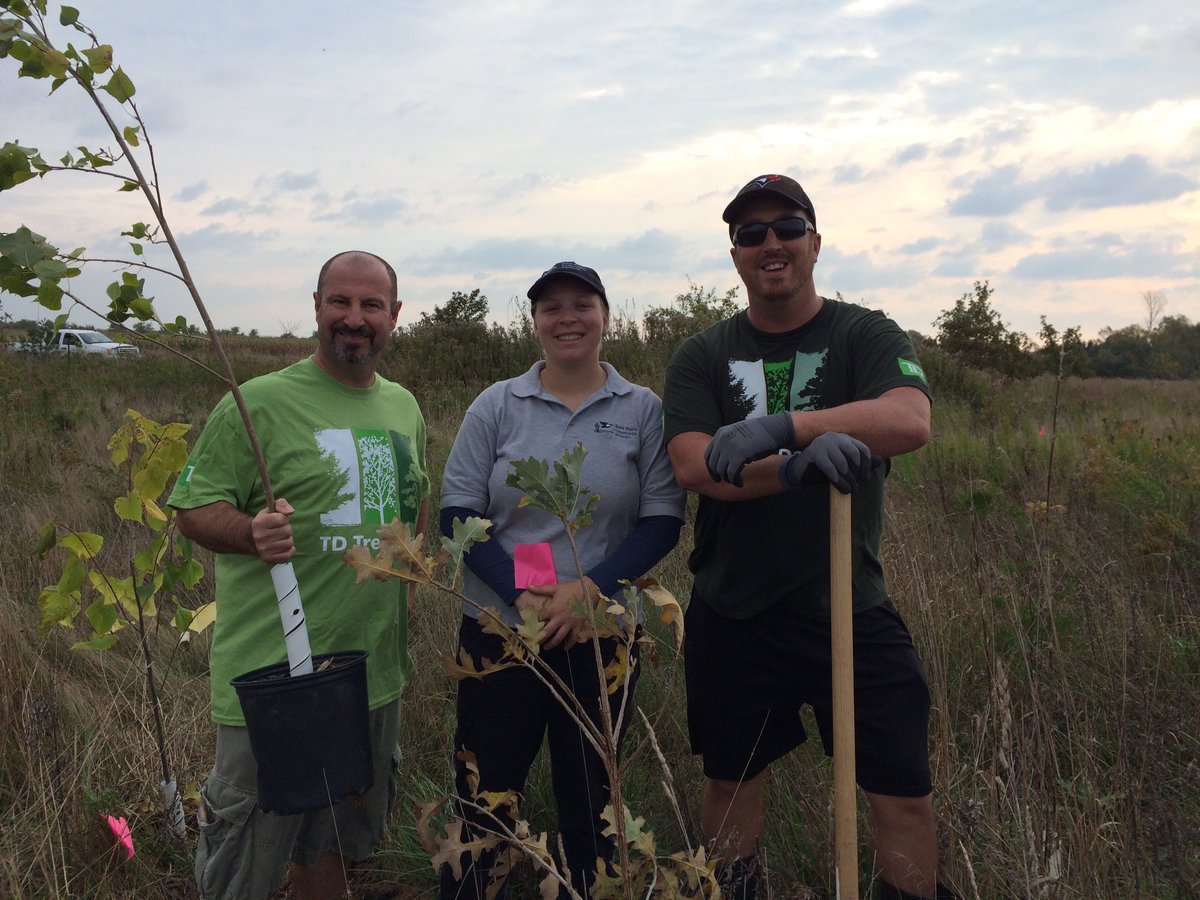 tracy13moore's tweet photo. Perfect day to plant some trees. TD tree says. @Gio3TD @EricGriggs_TD @ShaneKennedy_TD #TDFEF https://t.co/NiSaBZVxgL