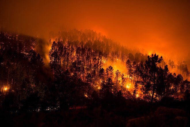 tiktakdraw's tweet photo. #ArdeGalicia e non podemos estar máis tristes 💔 https://t.co/TcIJ3jZ94x
