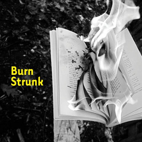 seedcake's tweet image. I'm starting a series of posts responding to The Elements of Style by Strunk and White at burnstrunk.wordpress.com. #strunkandwhite
