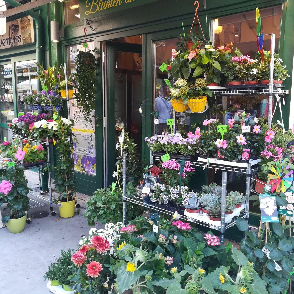 tigerbunny0407's tweet photo. @fearless_colors 😭😭😭 The Naschmarkt is one of my favourite places in Vienna. I posted some pics on my IG account. https://t.co/j8FCfJULJU