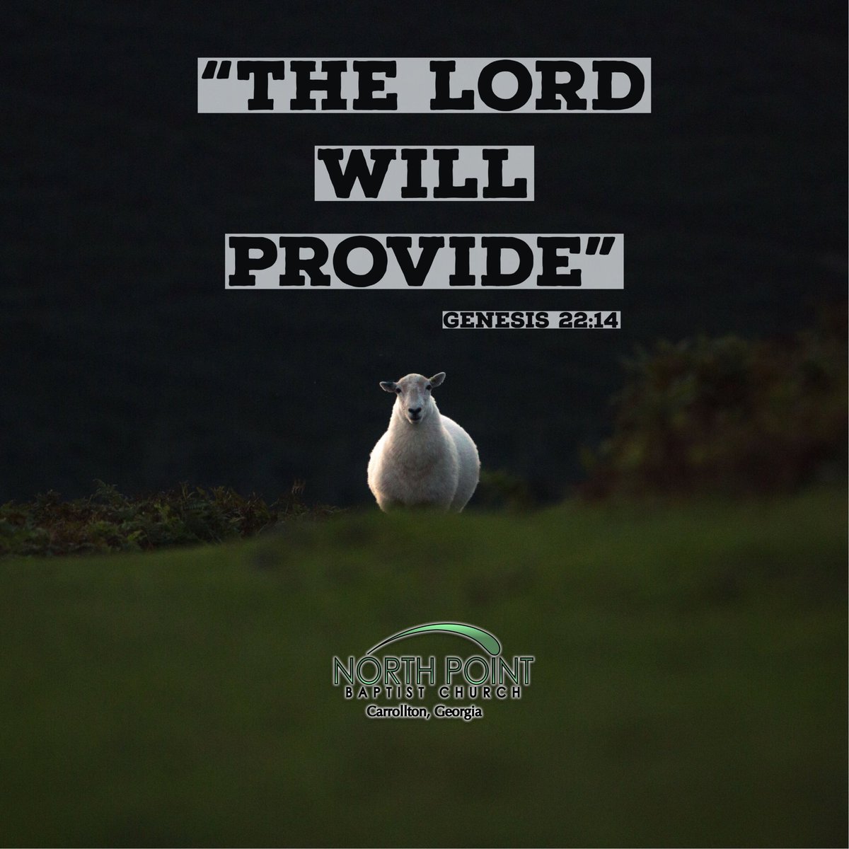 NPBC_Carrollton's tweet photo. https://t.co/x2LOSCsrcN