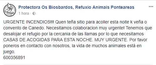TVGalicia's tweet photo. No refuxio @ProteBiosbardos piden colaboración para acoller os animais esta noite. #ArdeGalicia https://t.co/mHHDKPuqMW