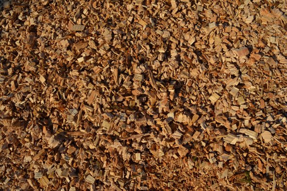 Ecochipp tweet media