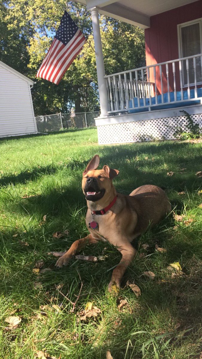 Wind in my ears and the sun in my eyes #sundayz