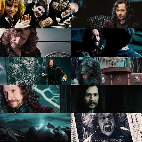 "Sirius was too busy being a big rebel to get married." – J.K. Rowling

#HappyBirthdaySiriusBlack
