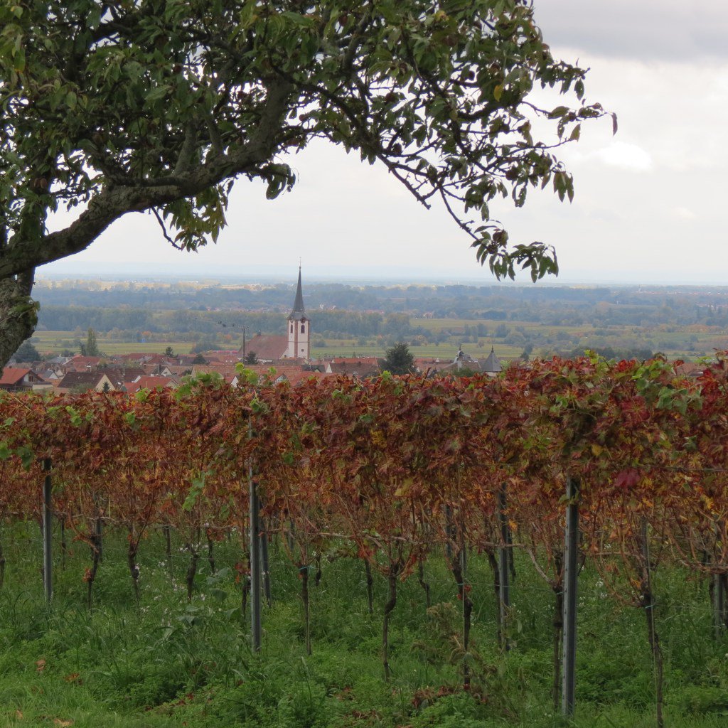 Keschde, Kürbis und Kuschelsocken (Pfälzer Herbst Teil II) binaspfalzliebe.de/2017/10/15/kes…