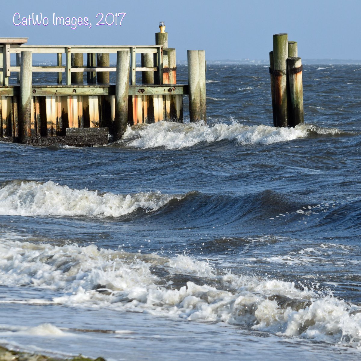catwoimages's tweet photo. #LongIsland #@OutdoorPhotoMag @LIPhotoGallery @LIAdvance @ResourceMag @News12LI love my hometown and my view #SaltLife https://t.co/OSmMzPIFZ4